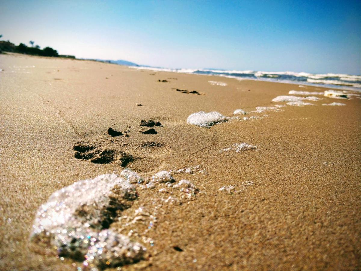 Hello Piles Beach Javier Luaran gambar