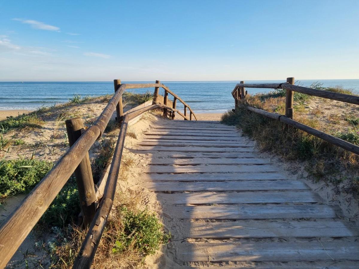 Hello Piles Beach Javier Luaran gambar